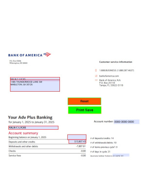 Bank of America January 2025 Personal Template